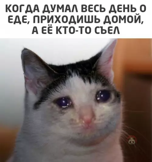 Смешная картинка №637669 А живешь ты при этом ОДИН!