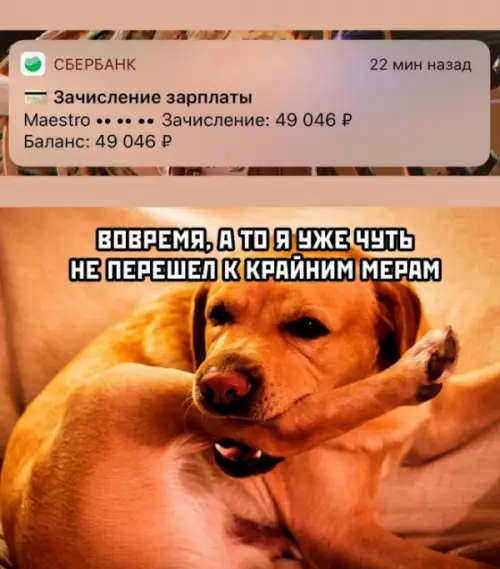 Смешная картинка №655522