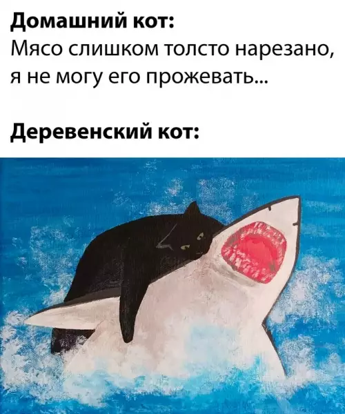 Смешная картинка №692849 Коты