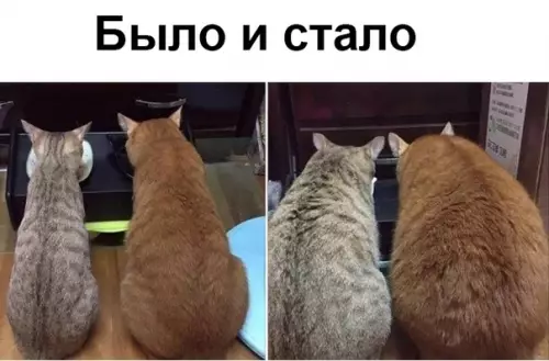 Смешная картинка №355042