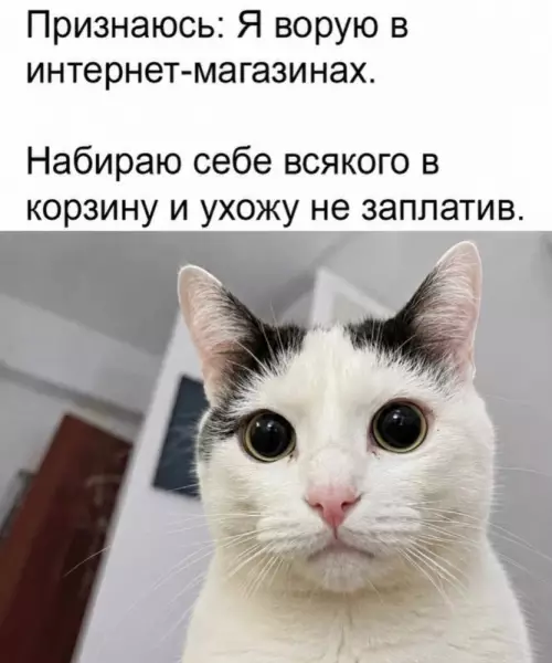 Мой план на вечер 🛒😂 - Признаюсь: Я ворую в интернет-магазинах. Набираю себе всякого в корзину