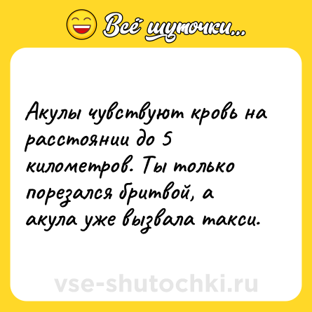 Шутка: Акулы чувствуют кровь на расстоянии до 5 километров. Ты только порезался бритвой, а акула уже вызвала такси.