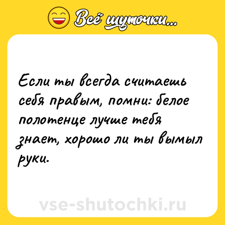 Шутка: Если ты всегда считаешь себя правым, помни: белое полотенце лучше тебя знает, хорошо ли ты вымыл руки.