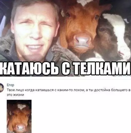 Смешная картинка №496432