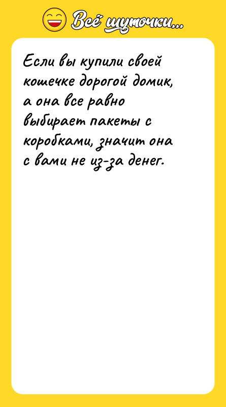 Шутка: Если вы купили своей кошечке дорогой домик, а она все равно выбирает пакеты с коробками, значит она с вами не из-за денег.