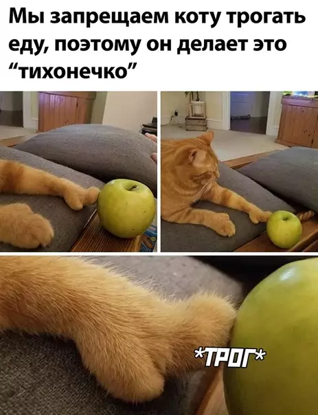 Смешная картинка №505426