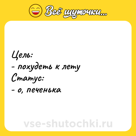 Шутка: Цель: <br>- похудеть к лету<br>Статус:<br>- о, печенька