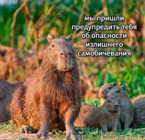 Смешная картинка №733115 Не делай так