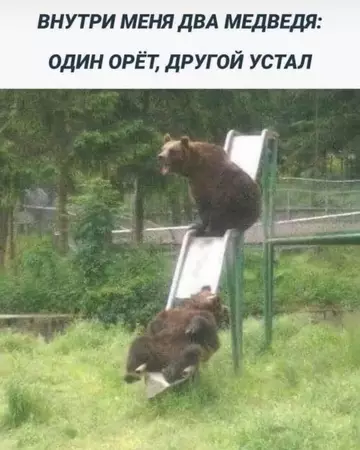 Смешная картинка №734757