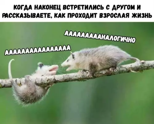 Смешная картинка №325080