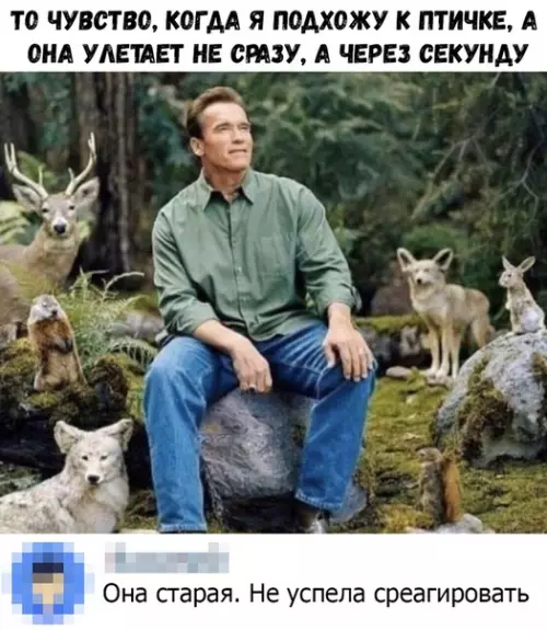 Смешная картинка №362127