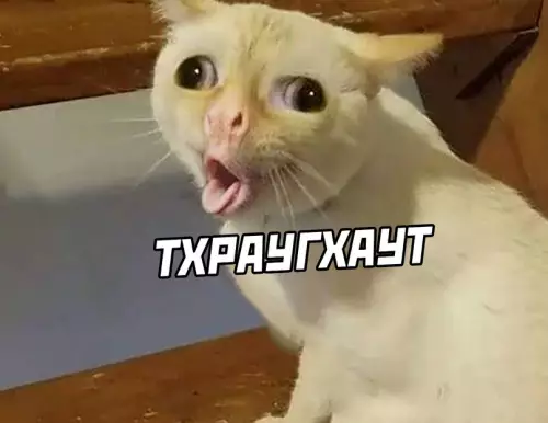 продолжение Смешная картинка №625145 Когда пытаешься выучить английский
