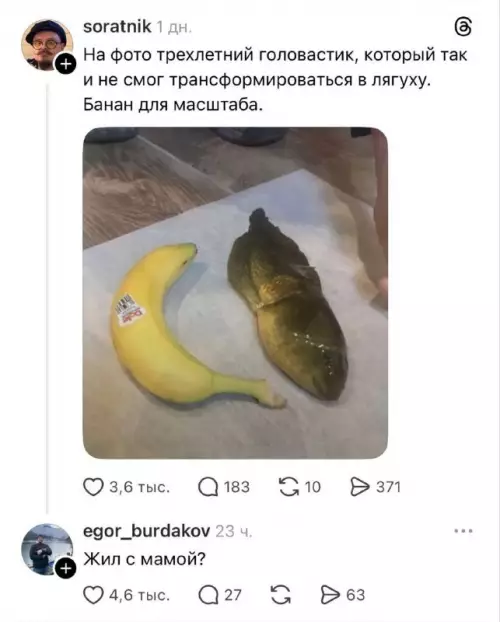 Банан против мутанта 🍌😂 - На фото трехлетний головастик, который так и не смог трансформироваться