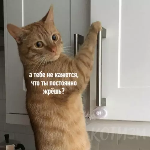 Смешная картинка №532698 Главное - это, конечно, здоровье