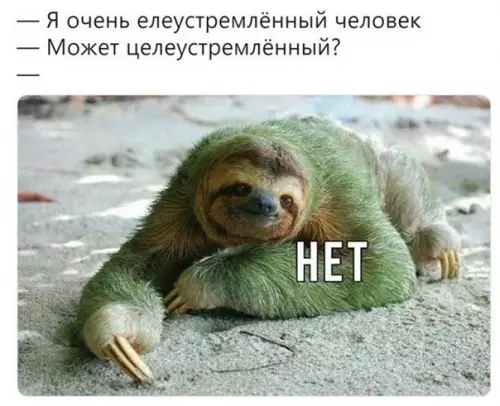 Смешная картинка №544238 Понимаю