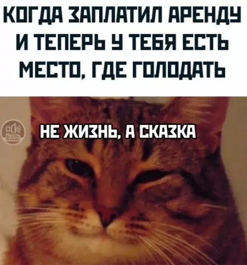 Смешная картинка №647684