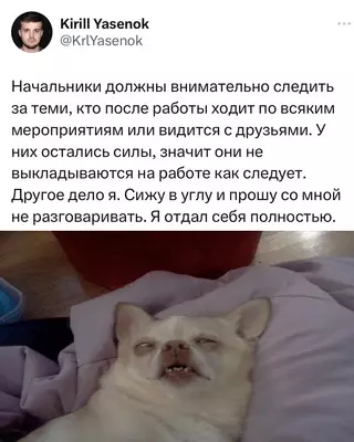 Смешная картинка №694201