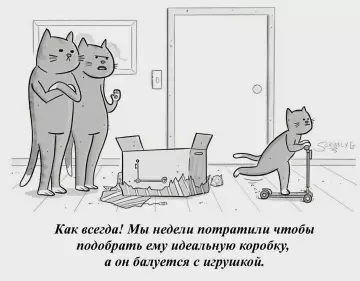 Коты vs Коробки: кто кого перехитрит? 😂 - Как всегда! Мы недели потратили чтобы подобрать ему идеальную коробку,