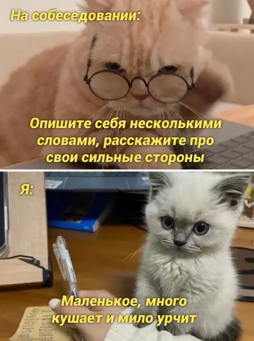 Смешная картинка №667715