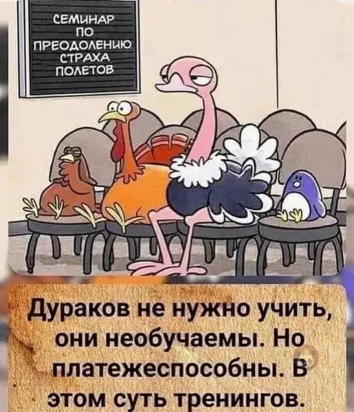 Смешная картинка №605455 Вся суть вебинаров