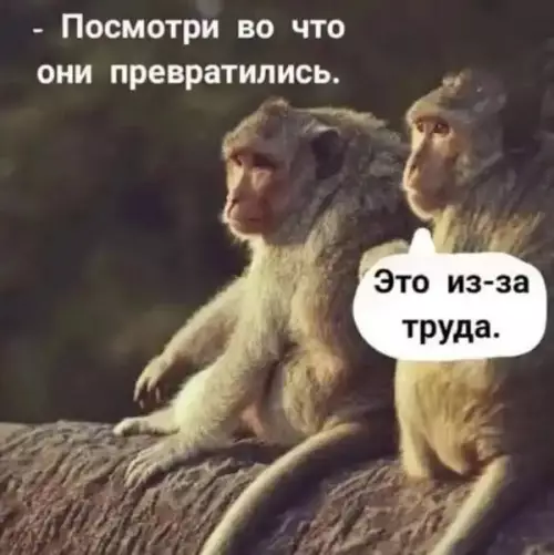 Смешная картинка №727302 животные