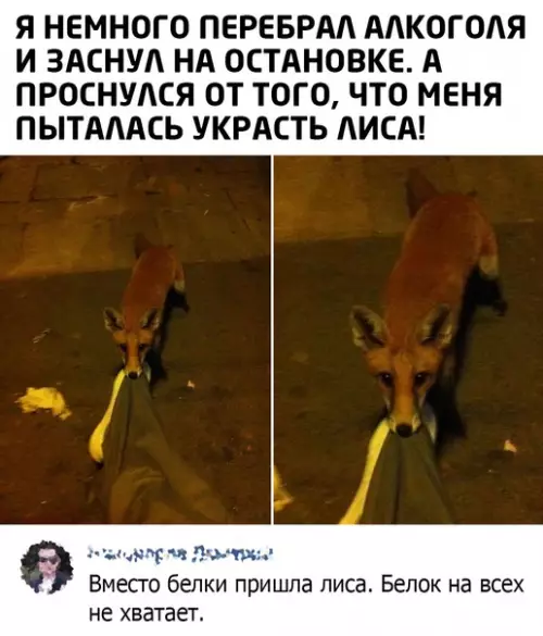 Смешная картинка №587979