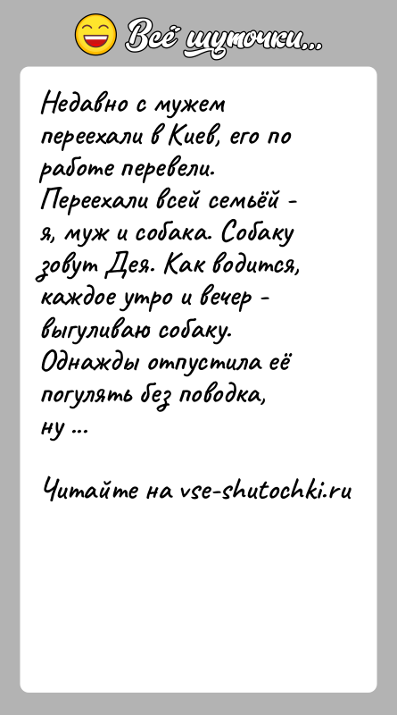 История: Недавно с мужем переехали в Киев, его по работе перевели. Переехали всей семьёй - я, муж и собака. Собаку зовут
