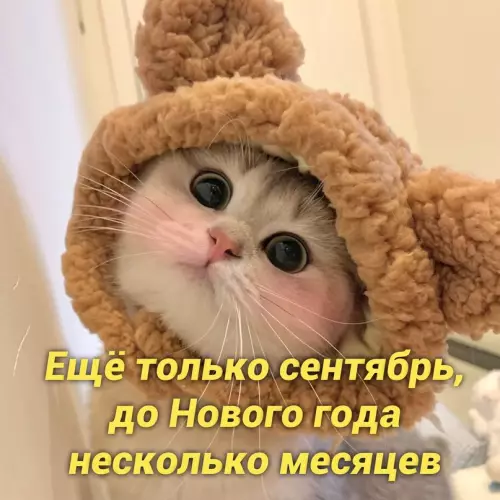 продолжение Смешная картинка №658108