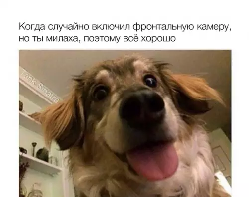 Смешная картинка №180843