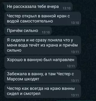 Смешная картинка №718318