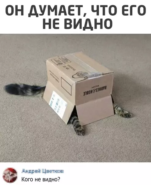 Смешная картинка №553605
