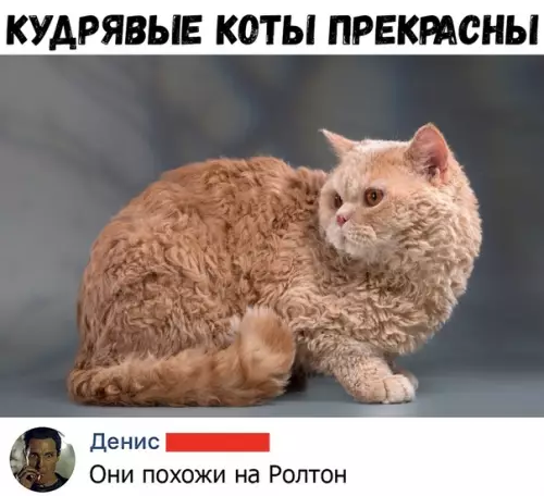 Смешная картинка №376418