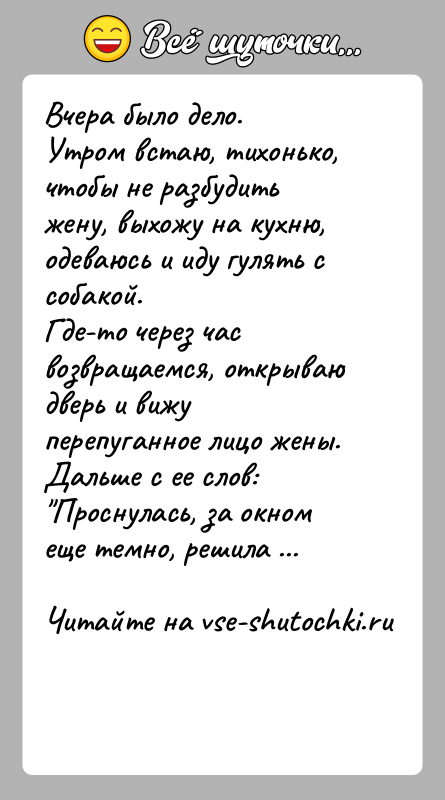 История: Вчера было дело.Утром встаю, тихонько, чтобы не разбудить жену, выхожу на кухню, одеваюсь и иду гулять с собакой. Где-то через