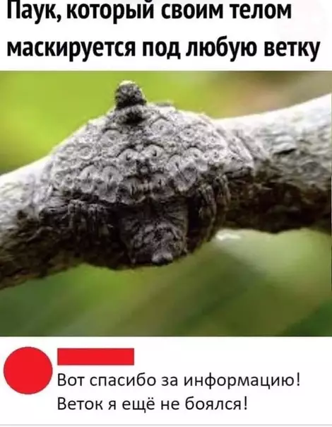 Смешная картинка №357877 В списке моих фобий очередное пополнение