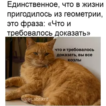 Геометрия учит жизни 😼📐 - Единственное, что в жизни пригодилось из геометрии, это фраза: Что