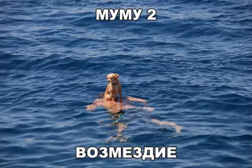 Смешная картинка №266768