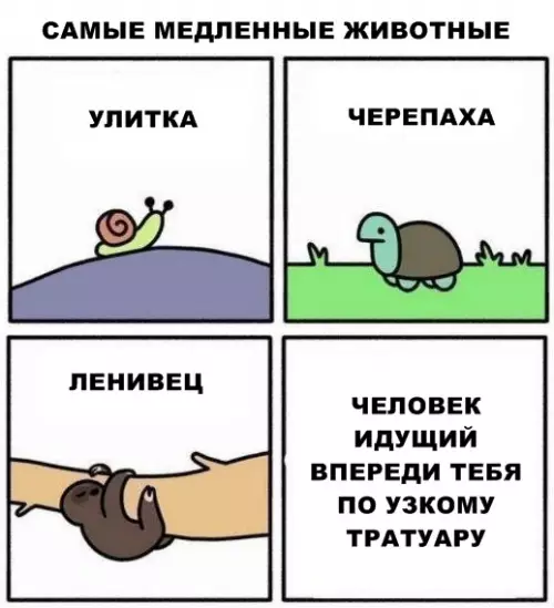 Смешная картинка №286841