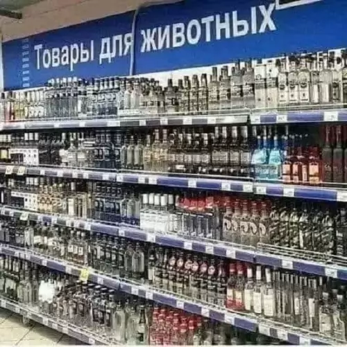 Смешная картинка №685570
