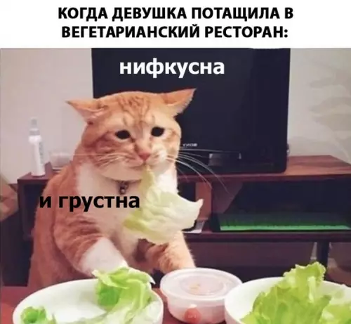Смешная картинка №280494