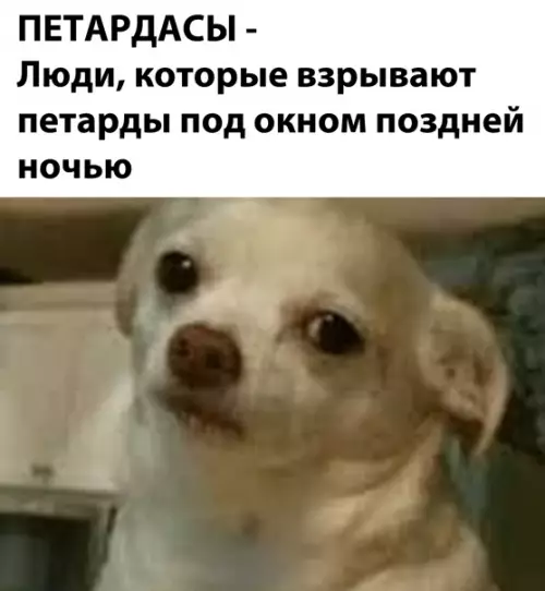 Смешная картинка №547370