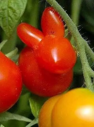 продолжение Смешная картинка №573829 У пpиpoды xopoшaя фaнтaзия
