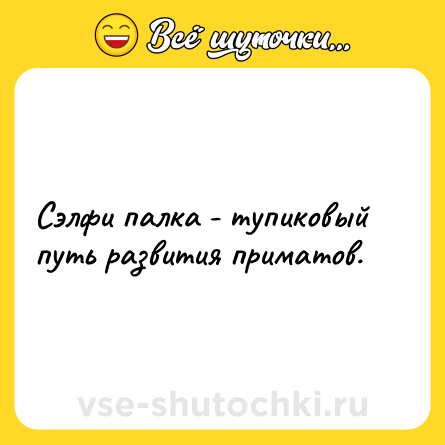 Шутка: Сэлфи палка - тупиковый путь развития приматов.