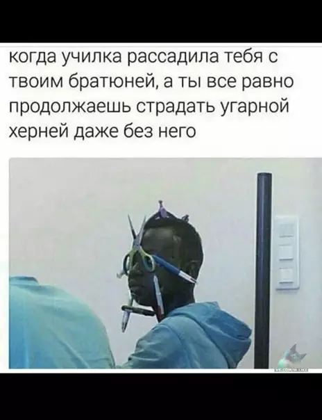Смешная картинка №334487