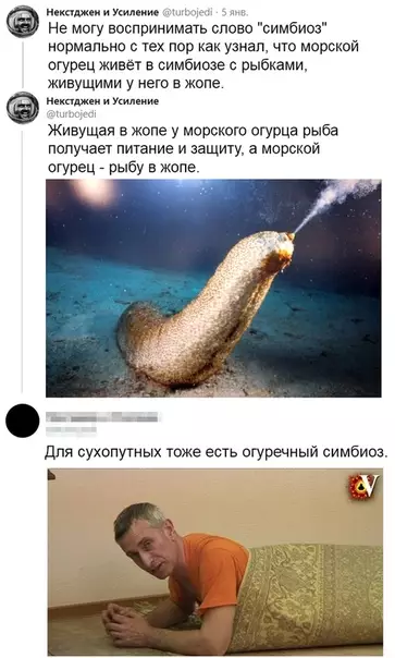 Смешная картинка №442717 Полна чудес могучая природа?