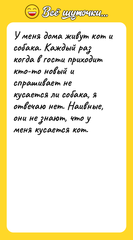 У меня дома живут кот и собака. Каждый раз когда