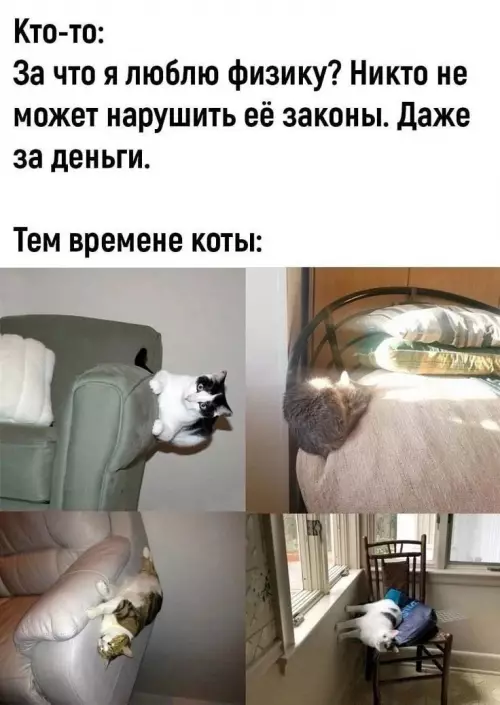 Смешная картинка №720891