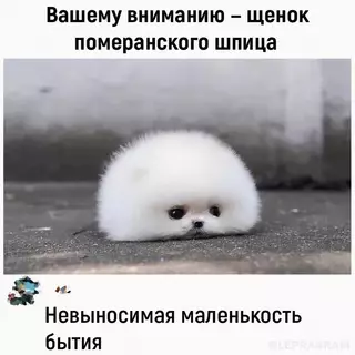 Смешная картинка №684208