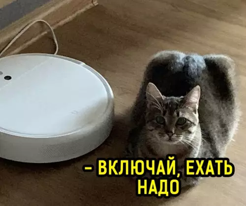 продолжение Смешная картинка №560280 Чe cтoишь?