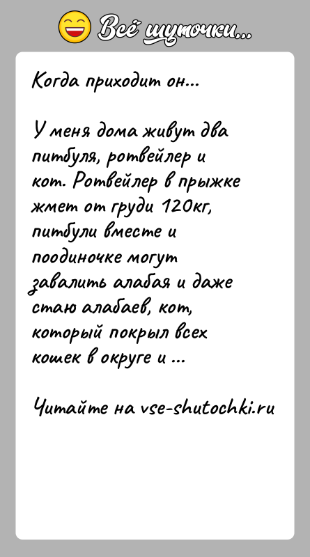 История: Когда приходит он...У меня дома живут два питбуля, ротвейлер и кот. Ротвейлер в прыжке жмет от груди 120кг, питбули вместе