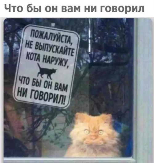 Смешная картинка №256244